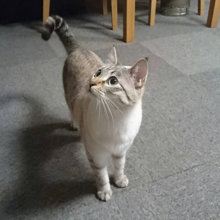 9a206fc2 e0ac 4ad6 9722 b833e320b6b2