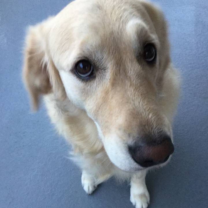 9a225af2 5276 46c6 a8cc 8c5457f20198