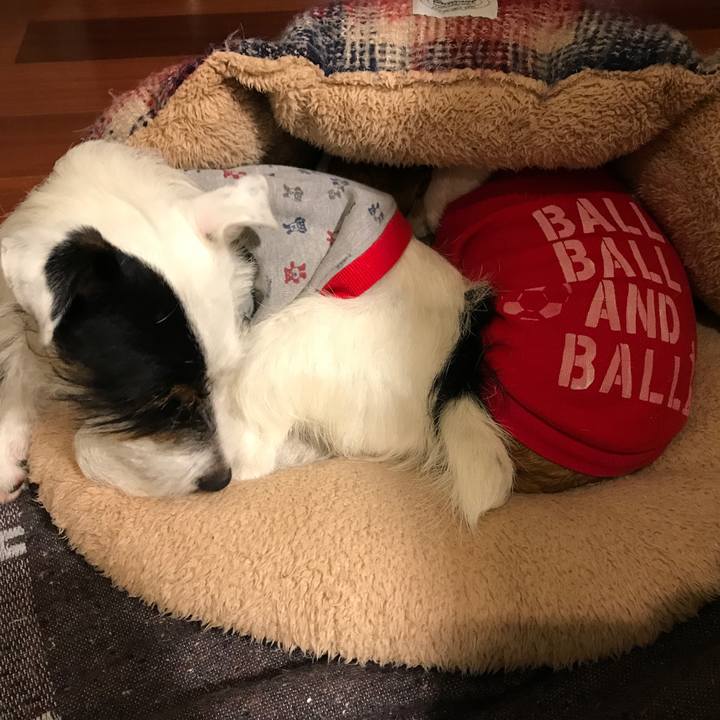 9a2279b5 bc2b 4c57 bc20 e1ae0ced543b