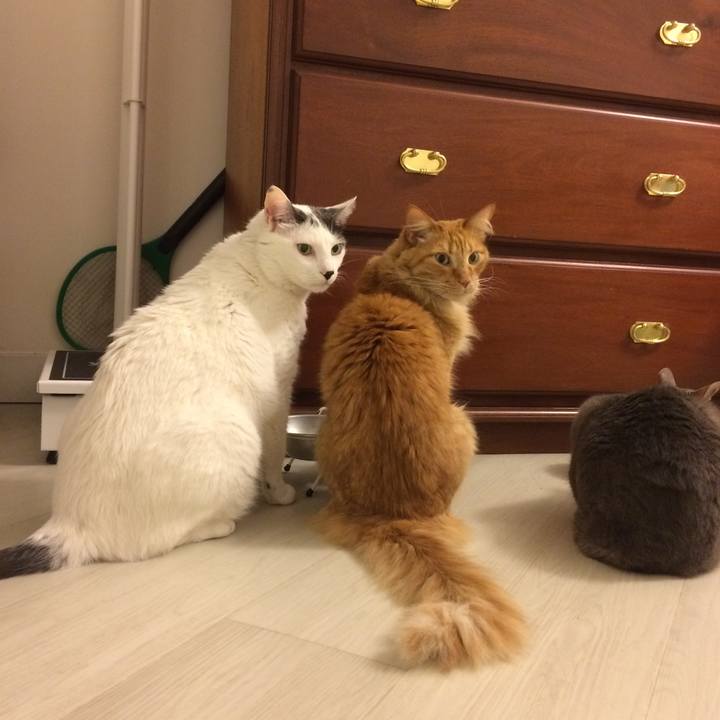 9a228844 5b09 4cef b023 0985ca2e7a44