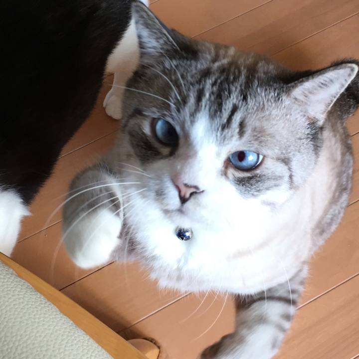 9a23d046 42ef 4518 a31a 3acffd627815