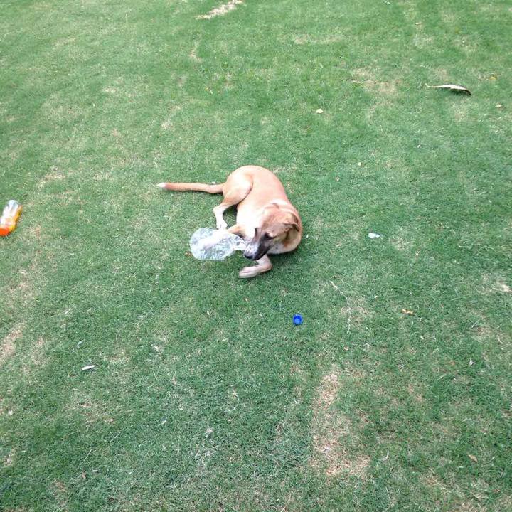 9a23e337 fe63 41fb 8b8e 13d7c2ae4965