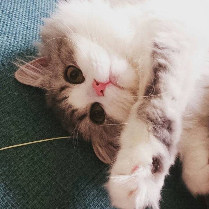 9a23e49f f3a2 4ba6 a1ac c2a87bcf9119