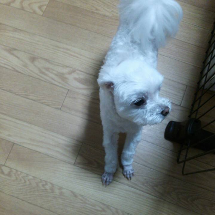 9a244426 684c 4189 ac4a 380e5280bcb8