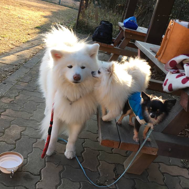 9a24bdf9 f906 4e24 b319 007df71c201d