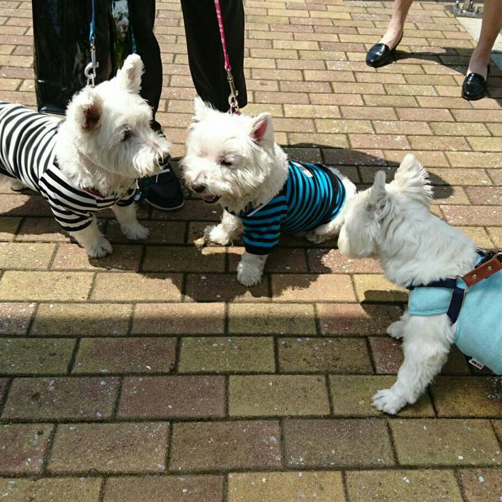 9a255ed5 9d10 4c66 83f5 5e36cb3df4bc