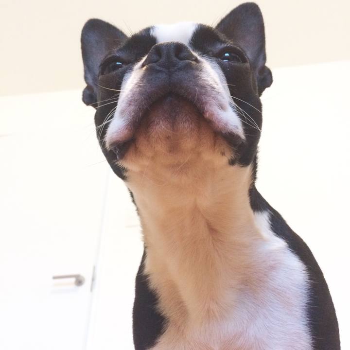 9a260065 2863 4dbc 8eec 5a86baf88429