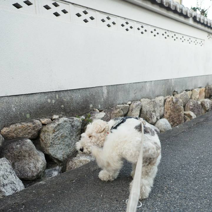 9a260ac3 3470 44ee 9055 fdf3366c9579