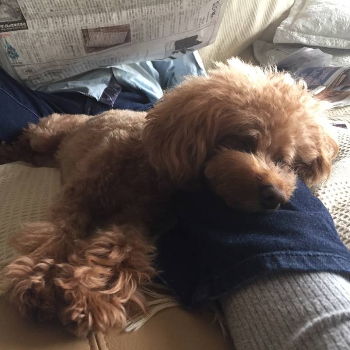 9a2680d3 420d 4606 aa01 9d9c9f7d21c4