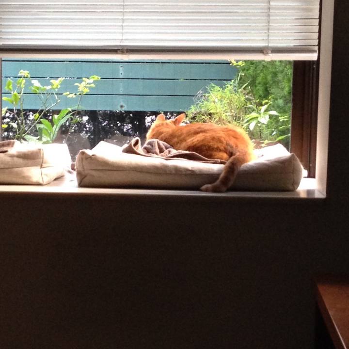 9a274a57 aa75 459a 910b 0d2c81631801