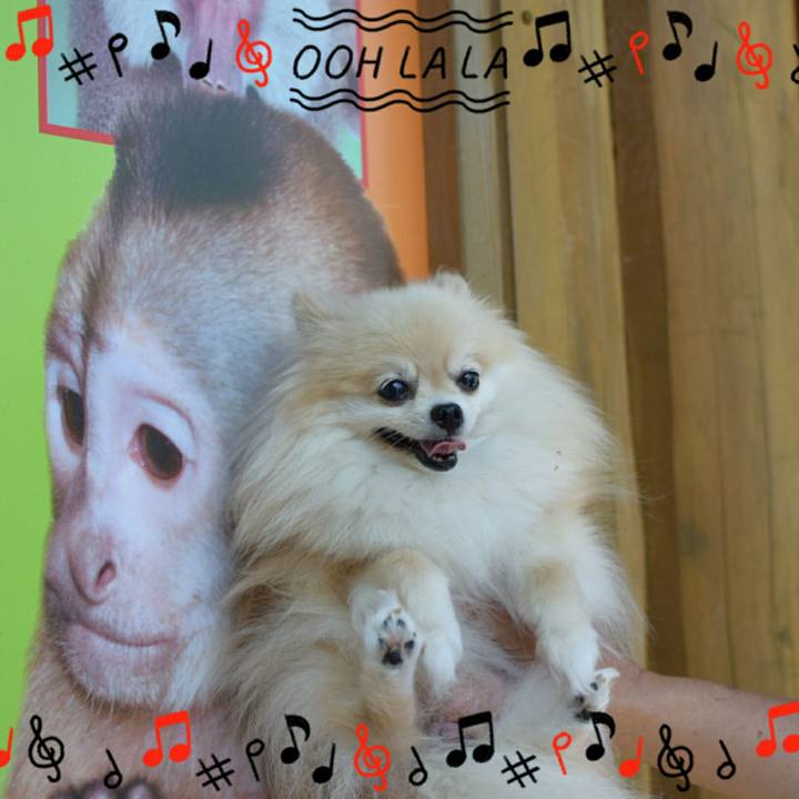 9a274aee eeeb 43f3 9449 31d8ee027332