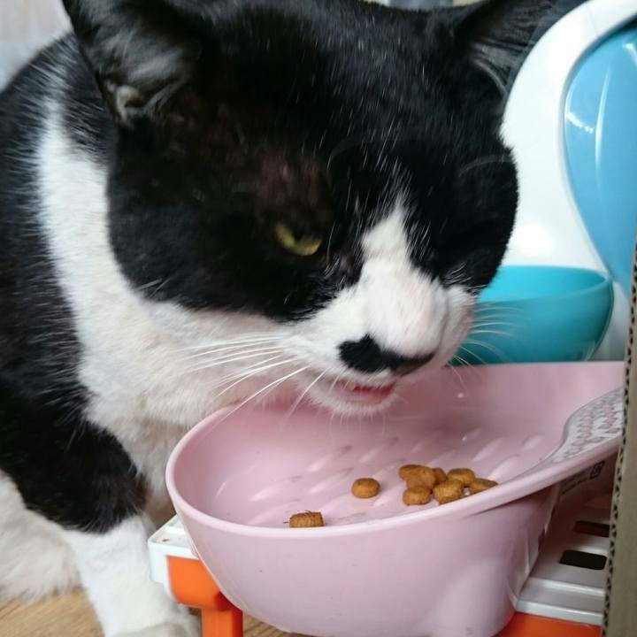 9a2808a6 917e 4305 bca0 0213ca1ac1a6