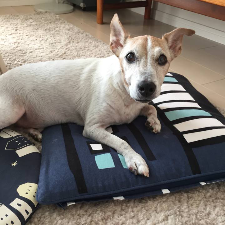 9a28a475 00a3 4de1 9bed e5c4bd0c1eaf