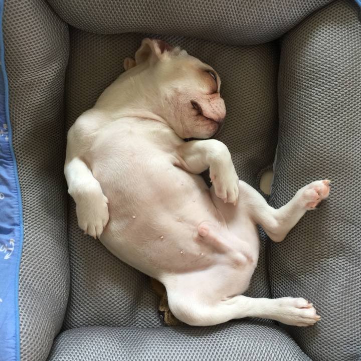 9a28aaed f3a7 43f5 ad0a a1a9ebf58432