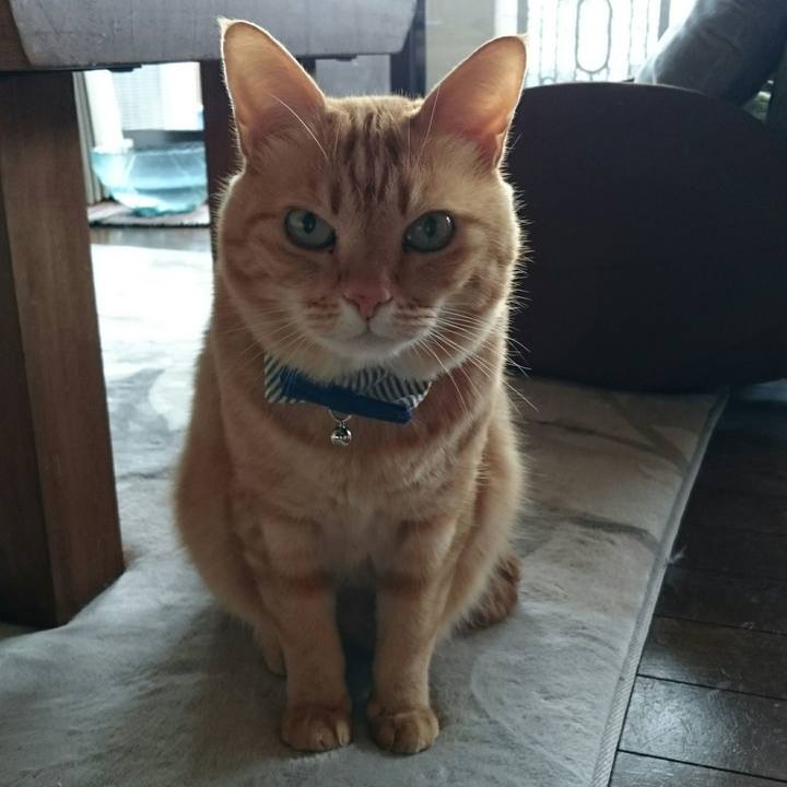 9a28cc78 7d92 409e 9baa d1b363dbf7b5