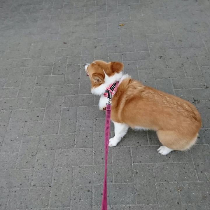 9a28fb02 92df 4d59 83cb 3a2903b699b5