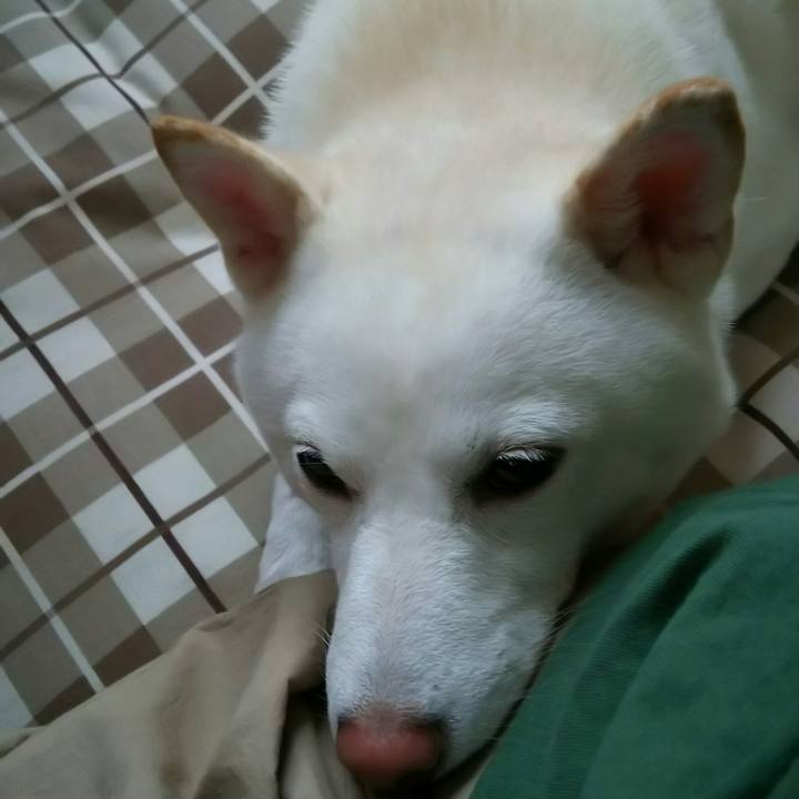 9a2908fb 4738 4246 a914 2e1331896ac7