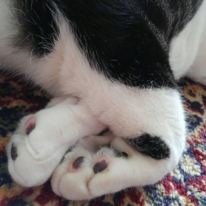 9a293c69 0647 4883 a4cd 0a6ba73ecdef