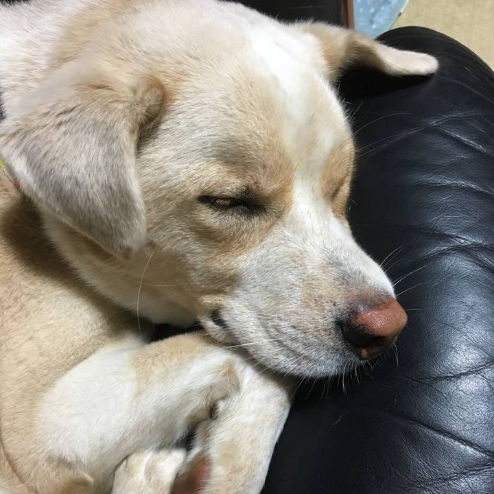 9a29780f 6b92 4162 afe8 1f62078cdb60