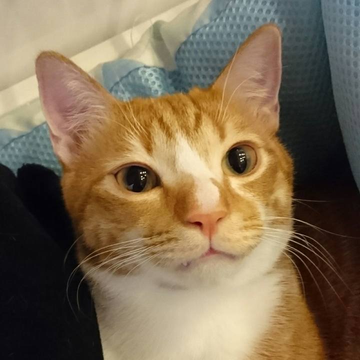 9a297f10 1660 4067 b2a7 ae2498a10921