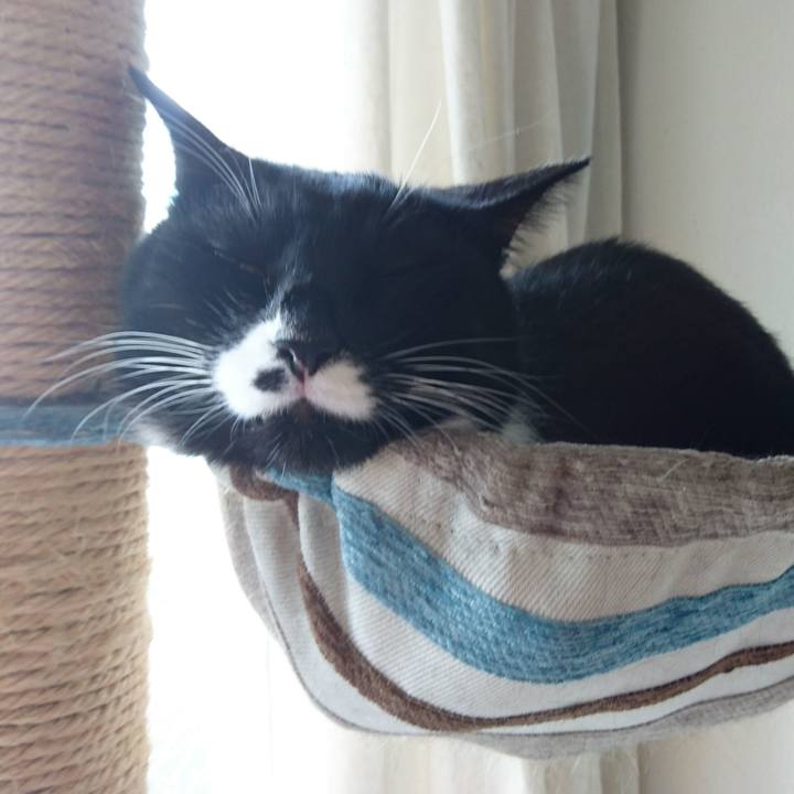 9a29904c 6b1f 4db0 8f4b 4627ebb16179