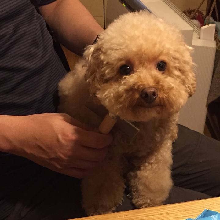 9a2a625e f940 41f1 a2b4 cb5e6e4ec745