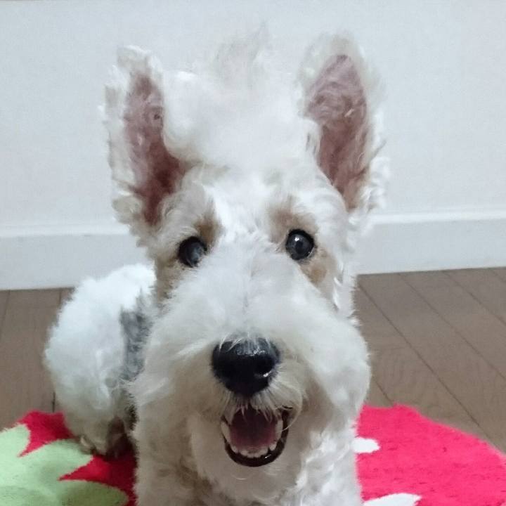 9a2aa3ff e2c6 46b5 b19f 221f9ade593e