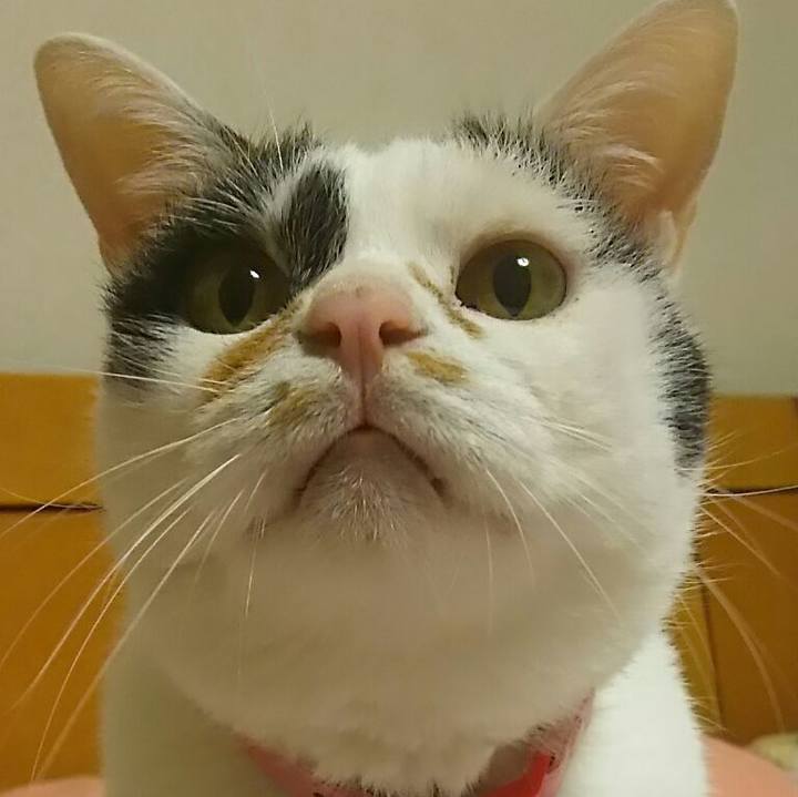 9a2b1eb4 0c2f 47e4 af6f 3847d0ed6273