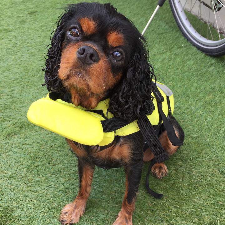 9a2b2293 1779 4c58 8149 72589e8210e8