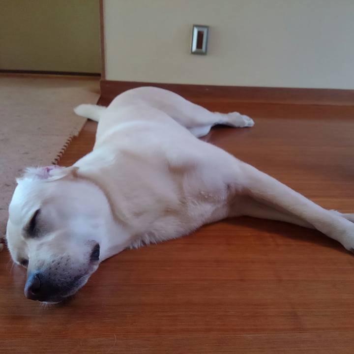 9a2ba778 6ad2 447b 90dc 43733f47021e