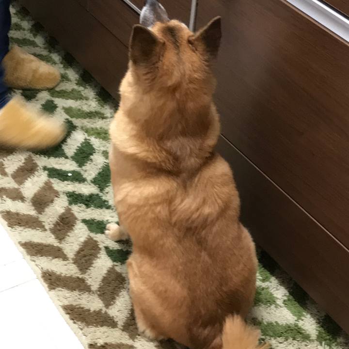 9a2bcdb4 cc76 42de a368 13b28a5b077e