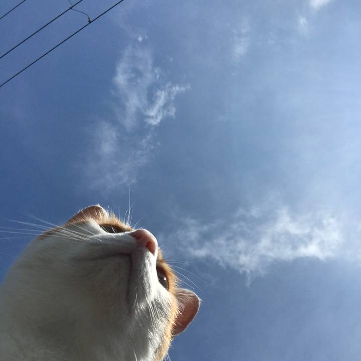 9a2bcde4 8b34 4a75 98b8 abbdb8b96424