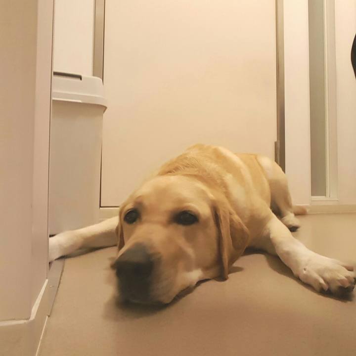 9a2bd367 c818 4835 b967 2219f7f102d1