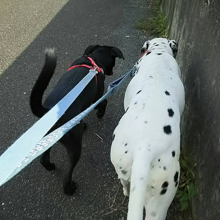 9a2bef36 e76c 427d 90b5 fc010730025a