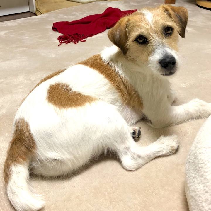 9a2c26a2 48ee 483a 8f56 56bb93b0ea56