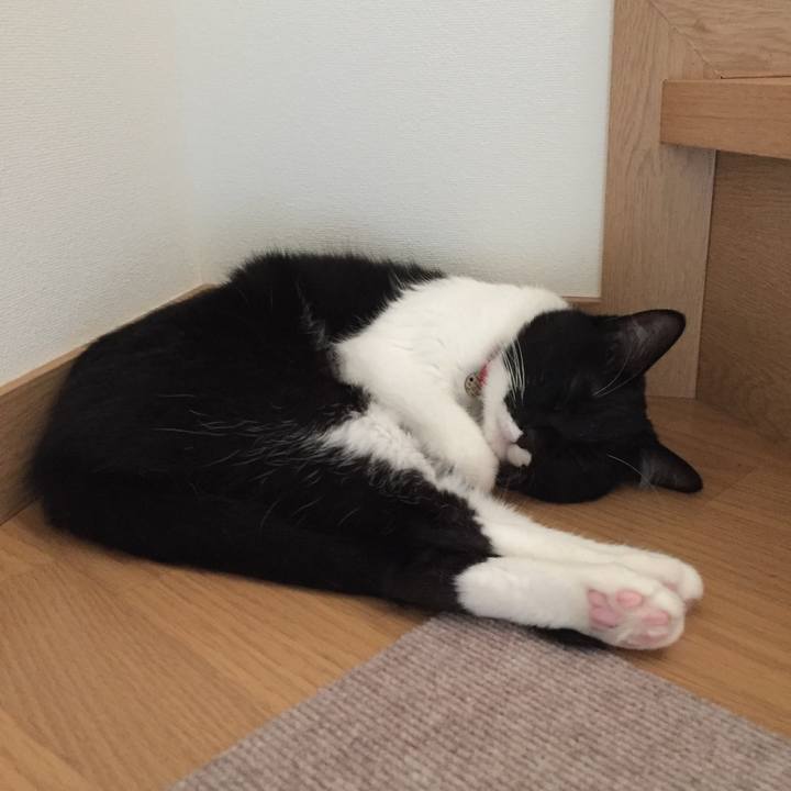 9a2c4504 4ce2 4dbf a5fd b5b0f9115c0a