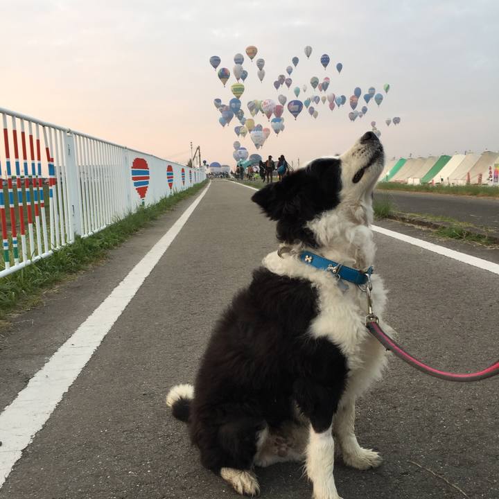 9a2c9a17 b0ff 45d1 94e5 83fa62006ec8