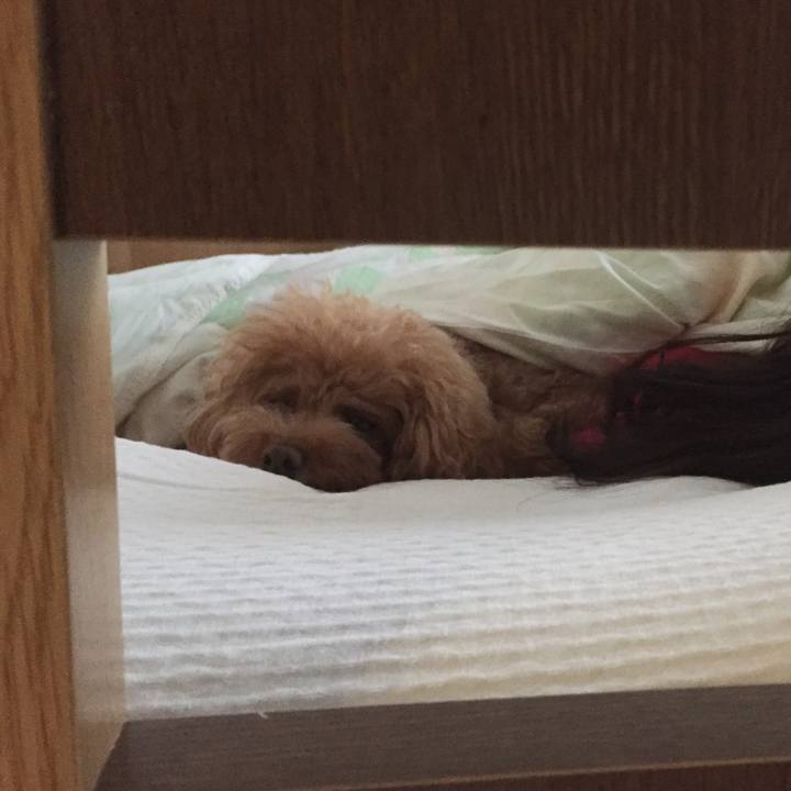 9a2ca6c8 f30c 43f4 8a12 0f56f5400362