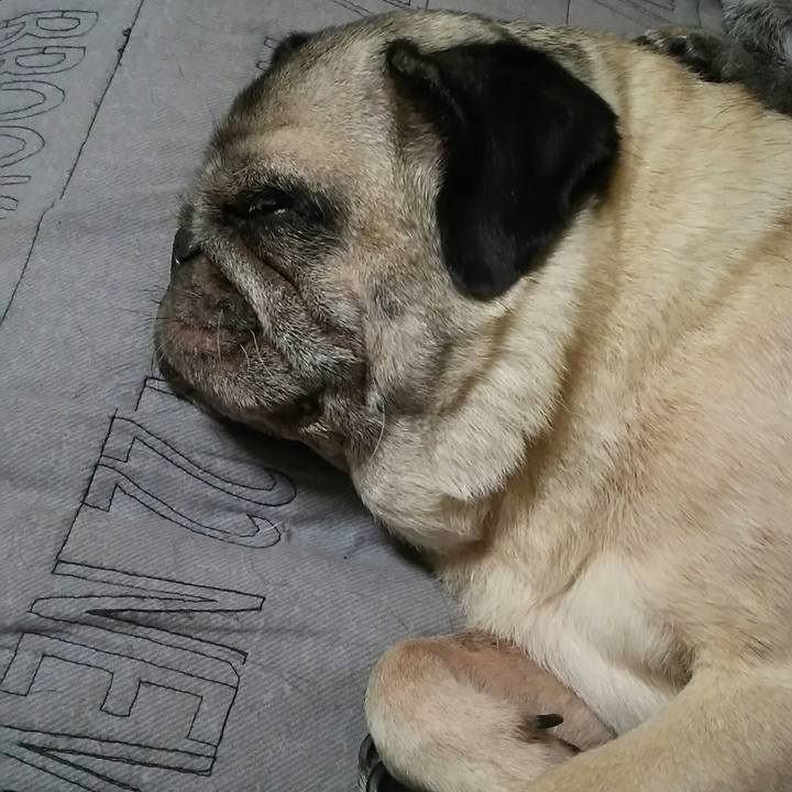 9a2d1867 1e9f 48c8 9f83 1fef60d0f3a5