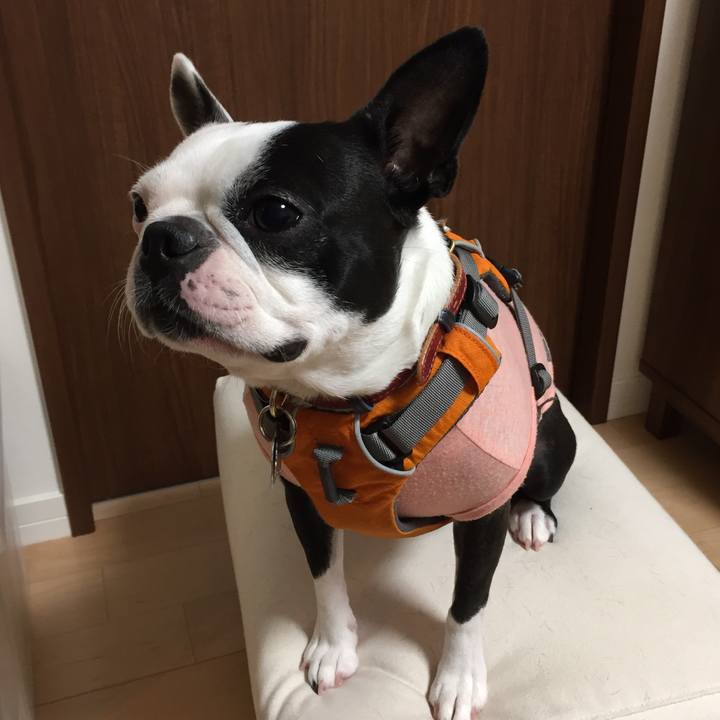 9a2d2338 dc7e 4ea7 970b 5e3a1178604c