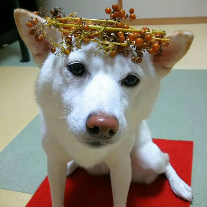 9a2dea9f 9385 4923 ad73 20c2a9530b49