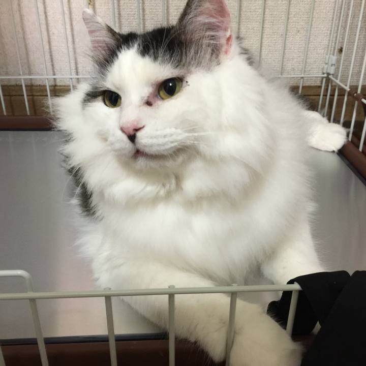 9a2e2a82 06c9 4e56 a1f4 5d4accb1b25a