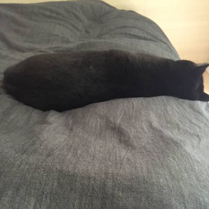 9a2e4a5b 8ce8 43b8 b4bf b7c8c0f9f784