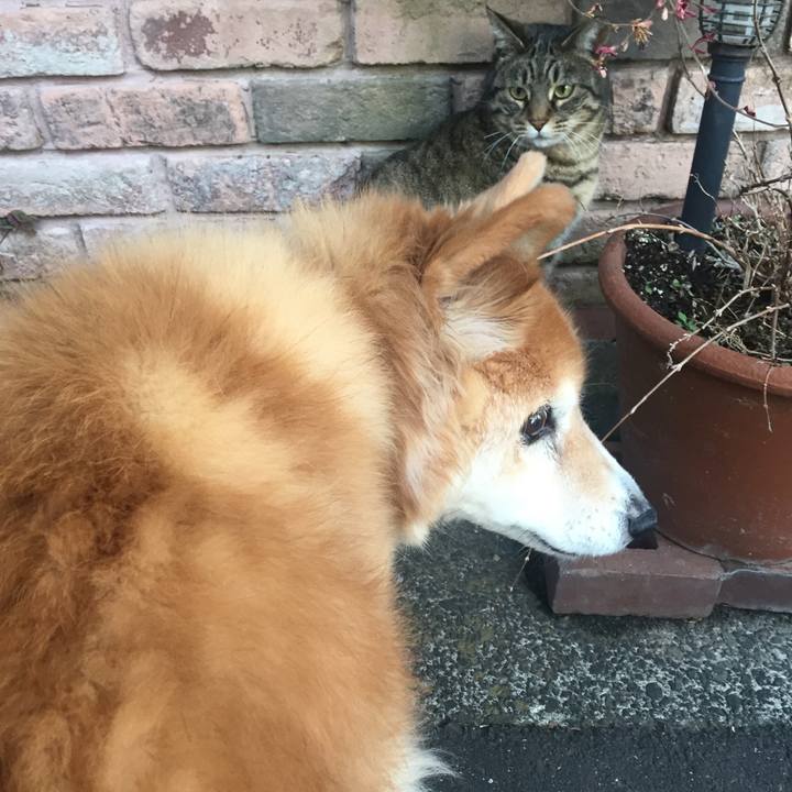 9a2e9ea2 a4b1 4a0e 8bf0 35ab42e3ad63