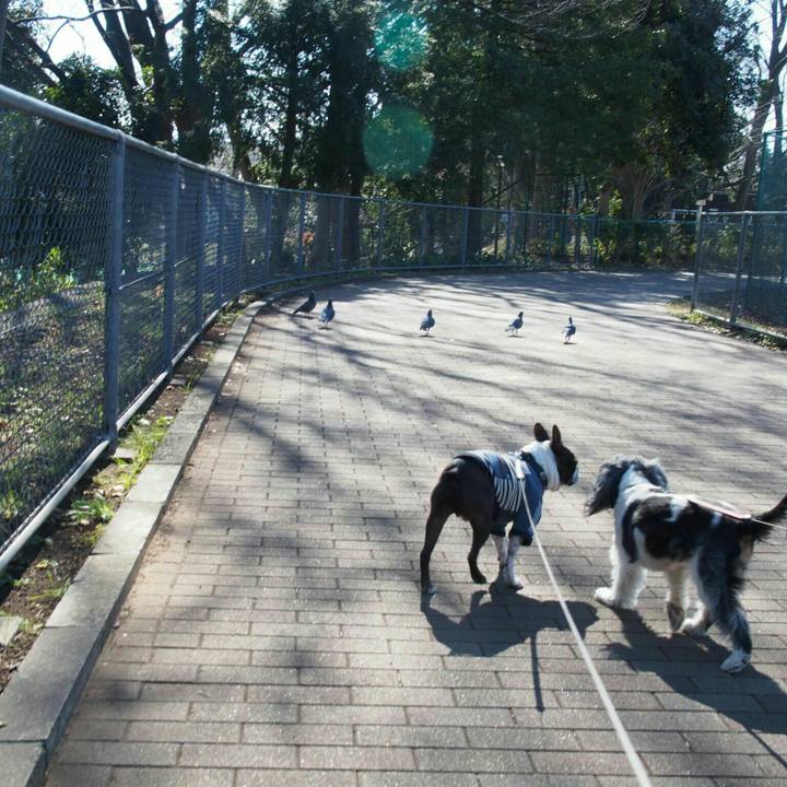 9a2eab72 85e2 4e3b 8e88 5253fba31a3f