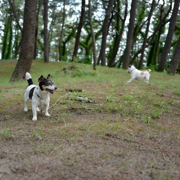 9a2ecc75 770d 402f 8956 1ac082e45495