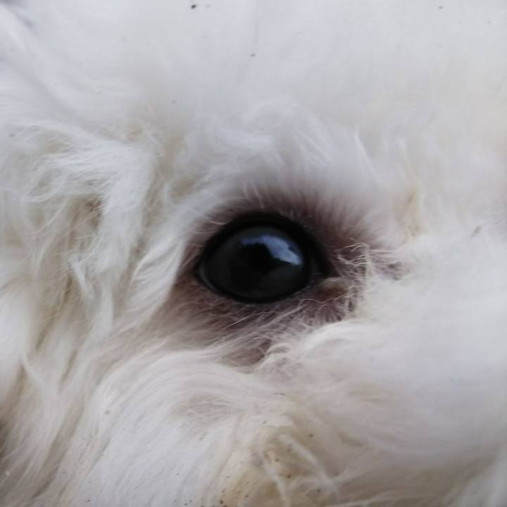 9a2f5e51 128d 4132 8e0b b7eba70c09ed