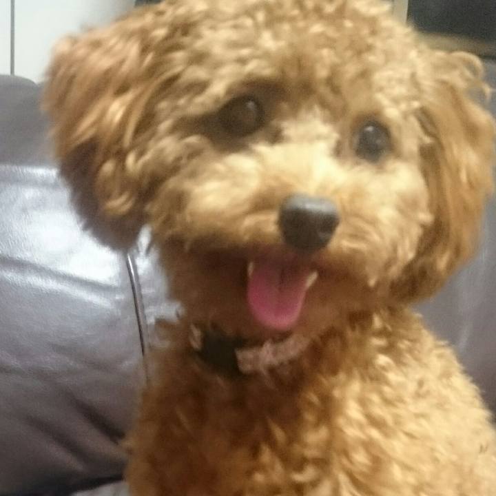 9a2f8919 9ef3 4da3 8867 17e6463970ac