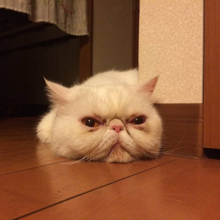 9a302fa2 3302 4478 8792 5c5a17539a47