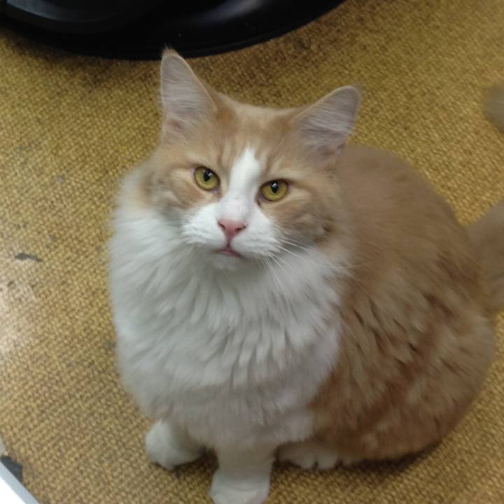 9a311b13 0c57 449f b4cf 111caffd56b3